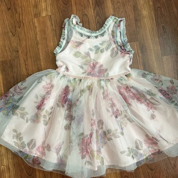 Zunie Dresses | Floral Tulle Kids Dress with Lace Trim | Color: Cream/Pink | Size: 3tg | Indrej1977'S Closet
